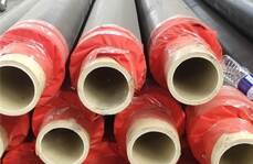 PE-RTⅡ型熱力管新型管材在熱力工程中的應用